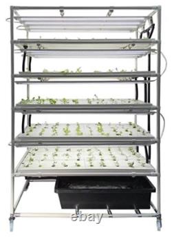 Hydroponic Indoor Smart Growing 200 plants and Grow Lights, Liq auto circulation